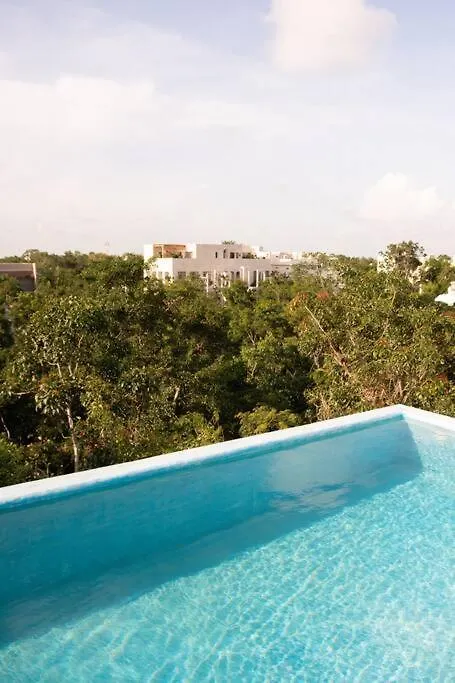 Shiny Casa Cacao/100Mbpswifi Lägenhet Tulum